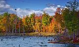 Autumn Marsh_22978